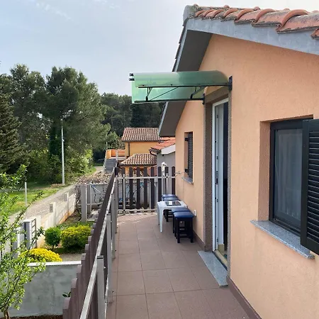 Mit Gepflegter Terrasse Im Ferienort *