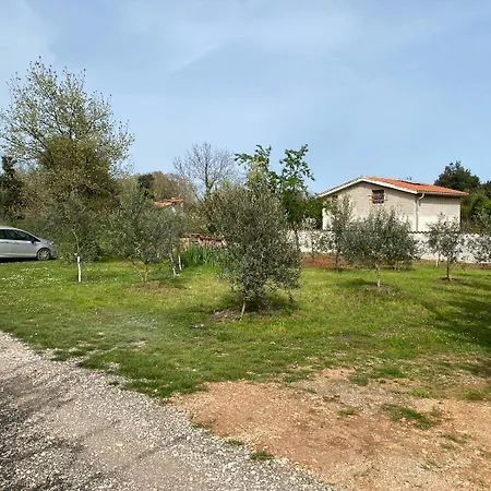 Mit Gepflegter Terrasse Im Ferienort